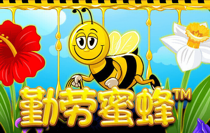凯云体育入口官网
