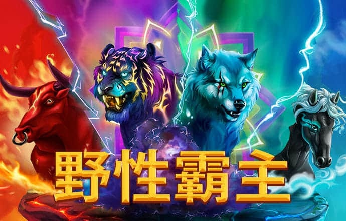 艾尚体育官网app